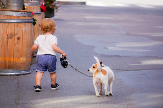 Bambino con cane al guinzaglio