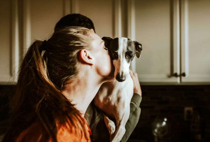 Foto di <a href="https://unsplash.com/it/@chewy?utm_content=creditCopyText&utm_medium=referral&utm_source=unsplash">Chewy</a> su <a href="https://unsplash.com/it/foto/donna-in-camicia-arancione-che-abbraccia-il-cane-bianco-e-nero-a-pelo-corto-sdF1Zc6-OQw?utm_content=creditCopyText&utm_medium=referral&utm_source=unsplash">Unsplash</a>       